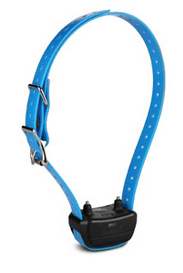 PT 10 Dog Device with Strap